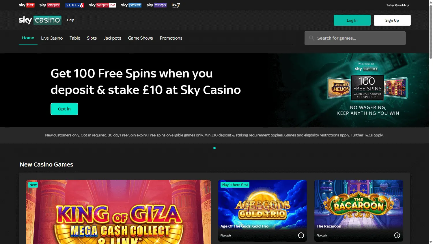 Sky Casino desktop homepage
